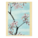 Sakura cherry Ukiyo-e. Post Cards