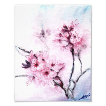 Sakura mini photograph