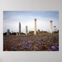 Salamis Ruins Poster