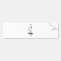 Salmon-Crested Cockatoo by Edward Lear Bumper Stickers