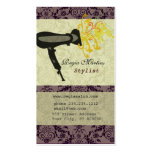 Salon Spa Hair Stylist Damask Hairdryer Business Card Template
