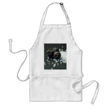 Salt And Pepper Aprons