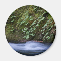 Salt Creek, Oregon Refrigerator Magnets