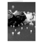 Salt Pepper Macro Image In Studio Greeting Card