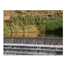 Salt River Diversion Dam Postcard