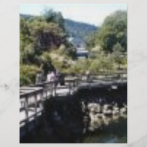 Salt Spring Island Flyers
