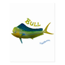 Saltwater Collection by FishTs.com Postcard