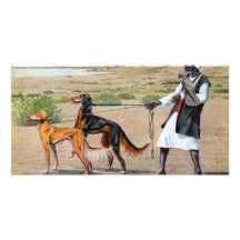 saluki picture card