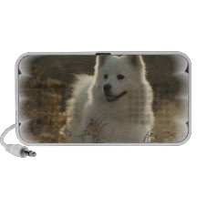 Samoyed Dog Speakers