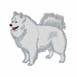 Samoyed