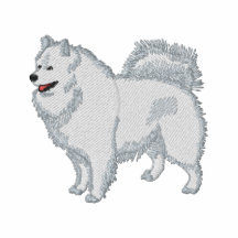 Samoyed