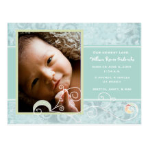 Sample William Renee Birth Announcement Postcards