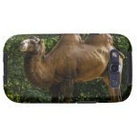 Samsung Galaxy Case - Customised