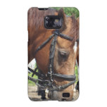 Samsung Galaxy Case - Customised