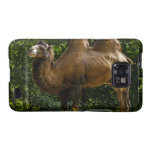 Samsung Galaxy Case - Customised