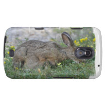Samsung galaxy nexus - Customised Samsung Galaxy Nexus Cases