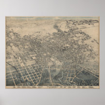 San Antonio TX Bird's Eye Panoramic Map 1886 Poster