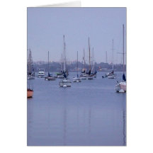 San Diego Bay Sailboats Cards