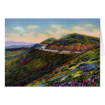 San Francisco California Twin Peaks Greeting Cards