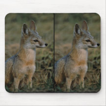 San Joaquin Kit Fox Mousepads
