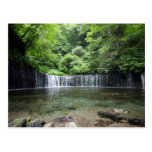 Sanctuary Postcards