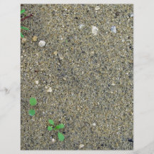 Sand and weeds flyer