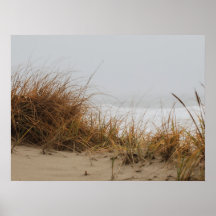 Sand Dunes In A Fury Posters