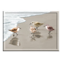 Sandpipers at the Shoreline Custom Invitation