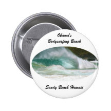 Sandy Beach Hawaii Pins