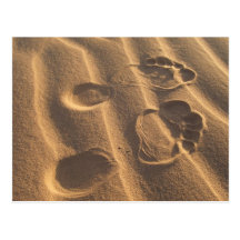 SANDY FEET POST CARDS