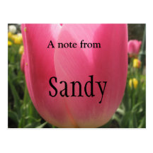 Sandy Post Cards