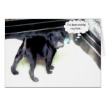 Sandy Pug Happy Birthday Greeting Card