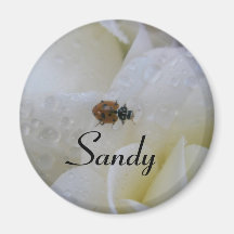 Sandy Refrigerator Magnets