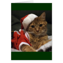 Santa Claws Greeting Card