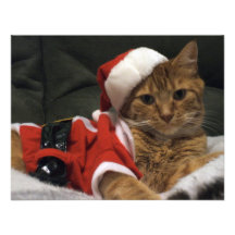 Santa Claws Invitations