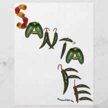 Santa Fe Chilli Peppers Personalized Flyer