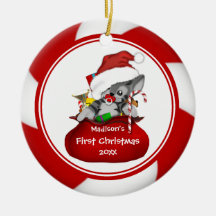 Santa Kitten Baby's First Christmas Ornament