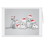 Santa Paws Greeting Card