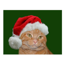 Santa Paws Post Card