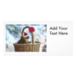 Santa Squirrel in Snow Customised Photo Card