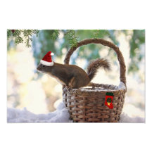 Santa Squirrel in Snowy Christmas Basket Photographic Print