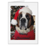 Santa St. Bernard Dog Christmas Card