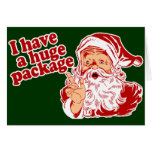 Santas Huge Package Greeting Cards