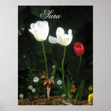 Sara Poster