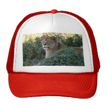 sarabi-set-1-003 hat