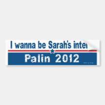 sarahs intern bumper stickers