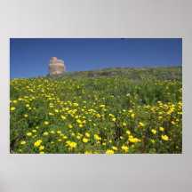Sardinia Fort and Medeow Print