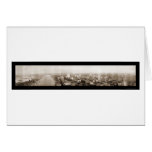 Savannah Georgia Photo 1912 Greeting Cards