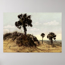 Savannah, Georgia Tybee Island Print
