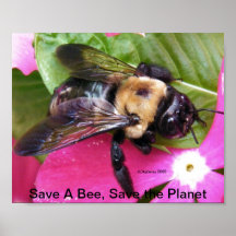 Save A Bee, Save the Planet! Poster